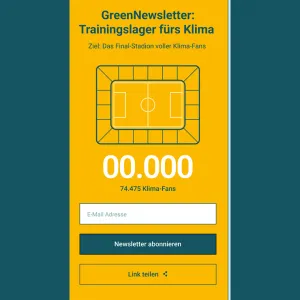 The newsletter registration option shows the number of users who have already registered in the form of a counter. The number is also shown in an abstract representation of the seats in a stadium