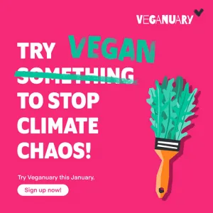 Text: Iss vegan für den Klimaschutz! auf pinkem Hintergrund, Teile aus dem Text wurden mit aufgemalten Buchstaben übermalt. Daneben ist der illustrierte Rucola-Pinsel abgebildet