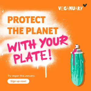 Graffity style text saying: Protect the planet with your plate! On orange background showing an illustrated pickle as a spray can